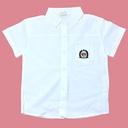 قميص ولادي سادة بلونين