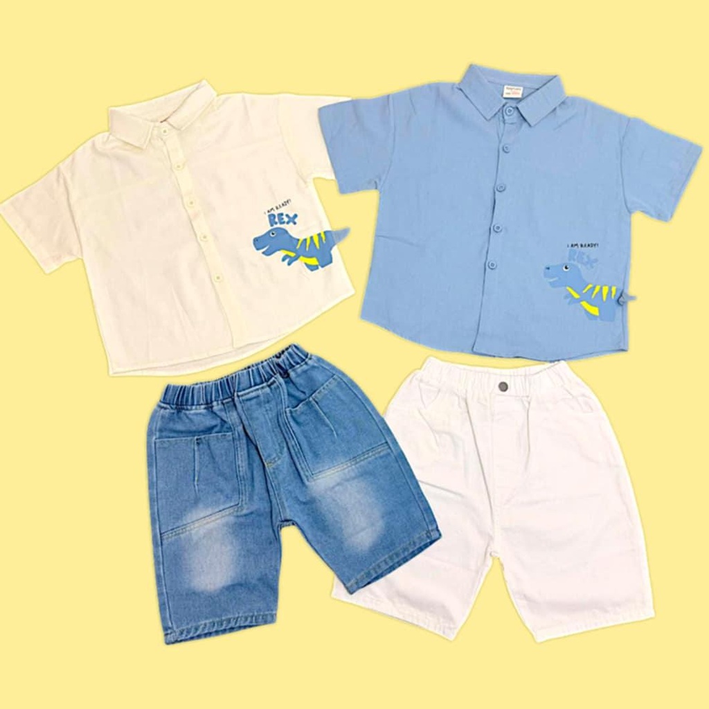 قميص ولادي بلونين مع رسمة ديناصور مميزة