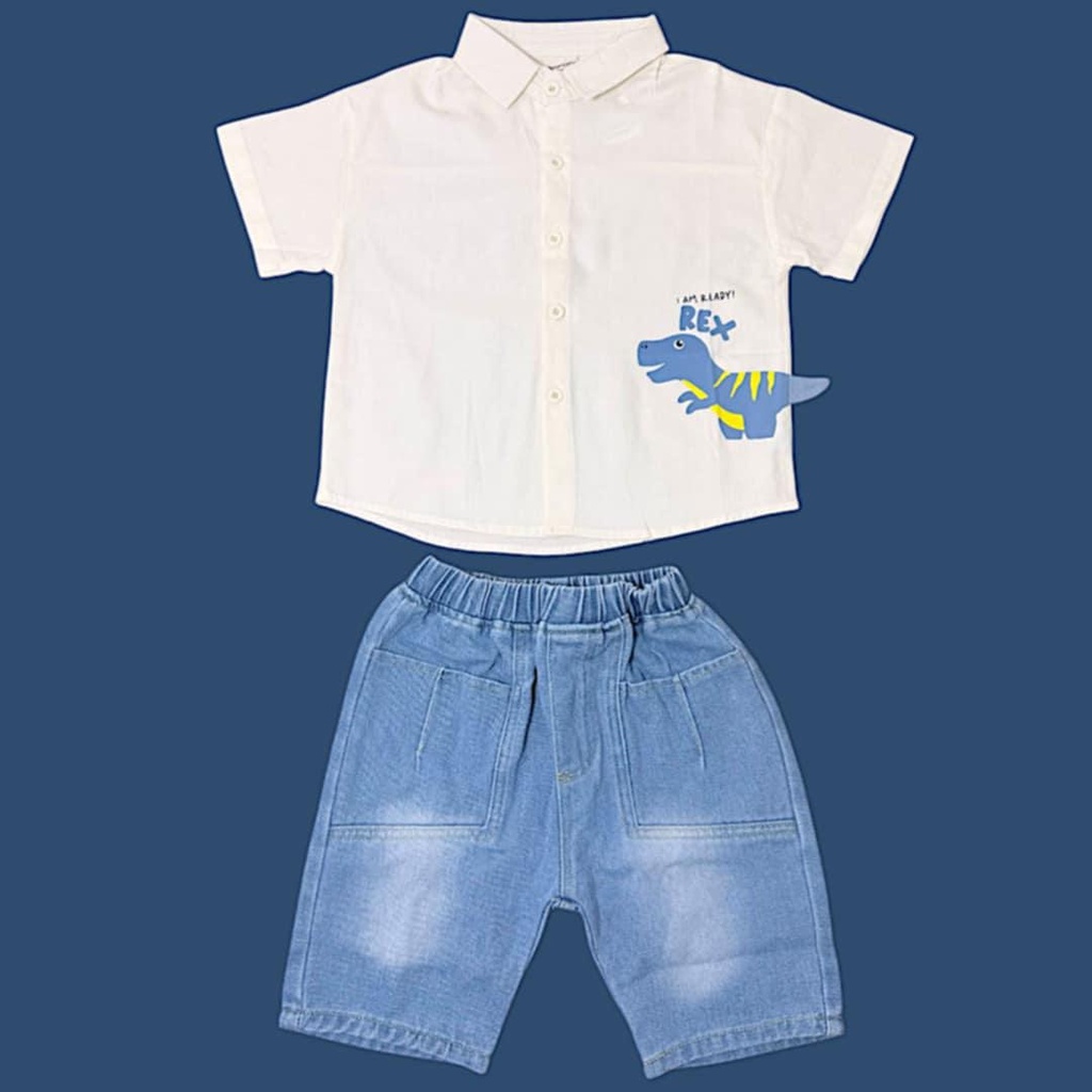 قميص ولادي بلونين مع رسمة ديناصور مميزة