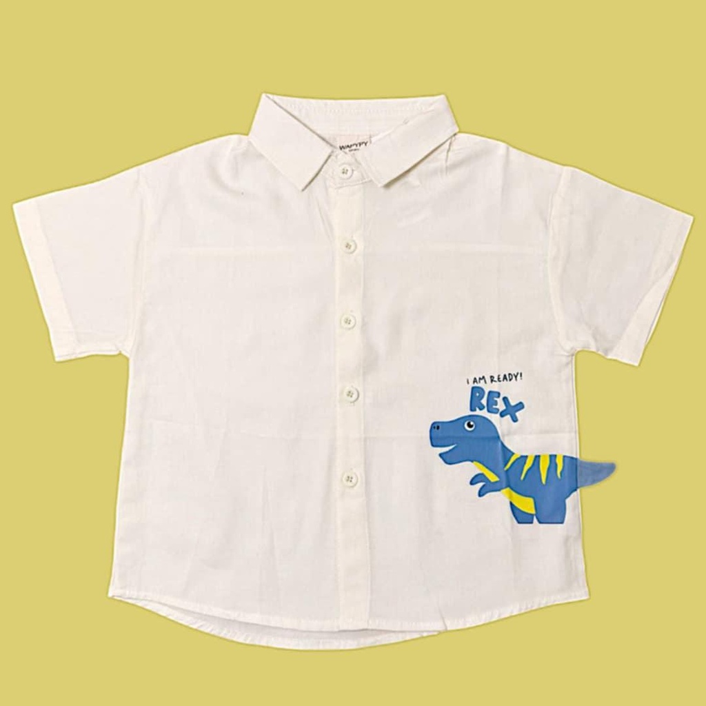 قميص ولادي بلونين مع رسمة ديناصور مميزة