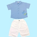 قميص ولادي بلونين مع رسمة ديناصور مميزة