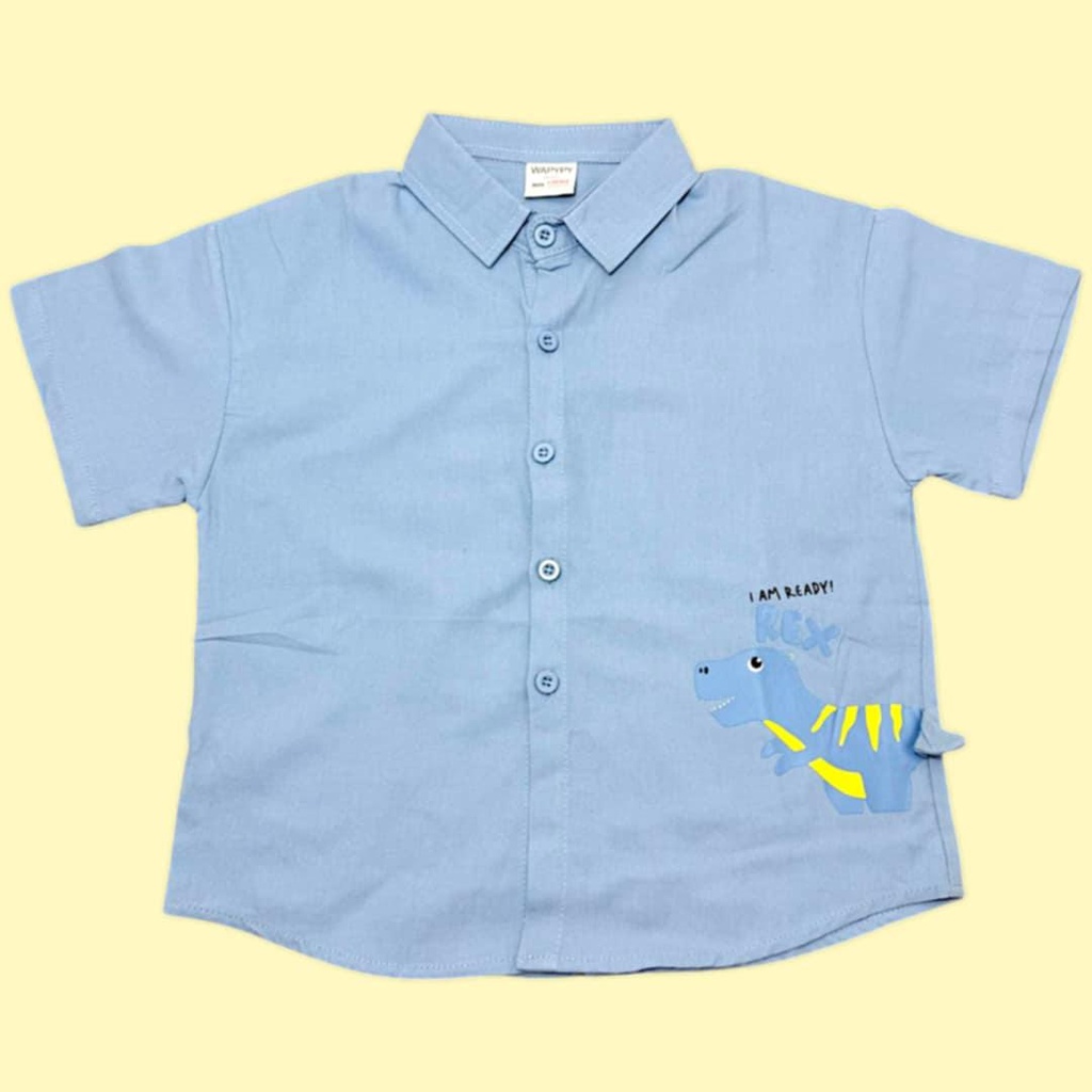 قميص ولادي بلونين مع رسمة ديناصور مميزة